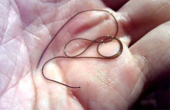 Картинка продукта