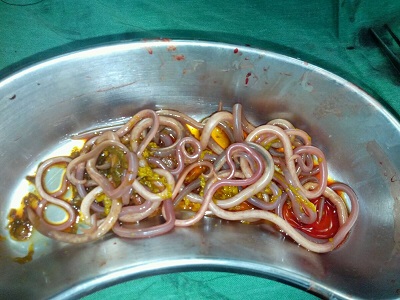 Картинка продукта